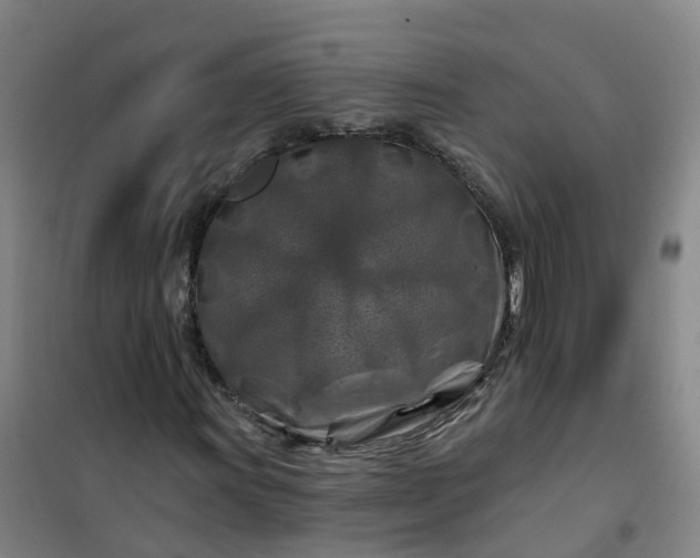 X0000101091011200807101543