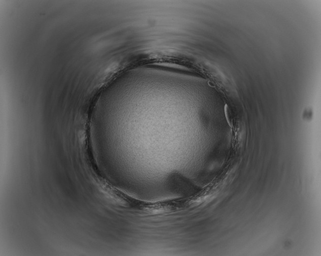 X0000101091012200807101543