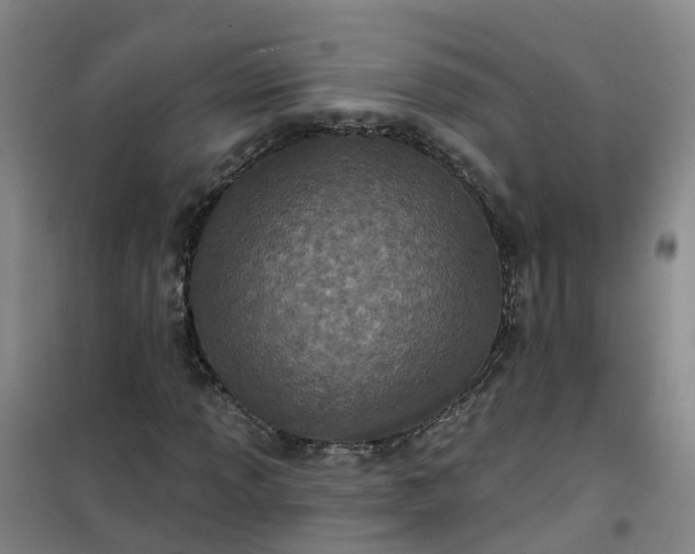 X0000101091013200807101543