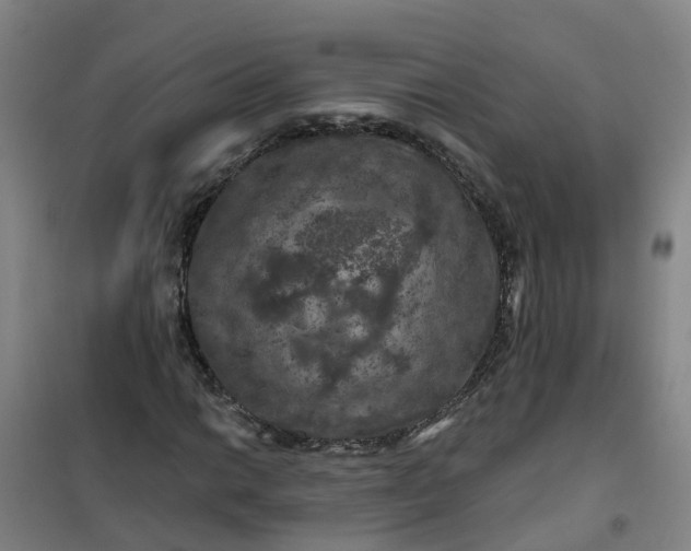 X0000101091014200807101543