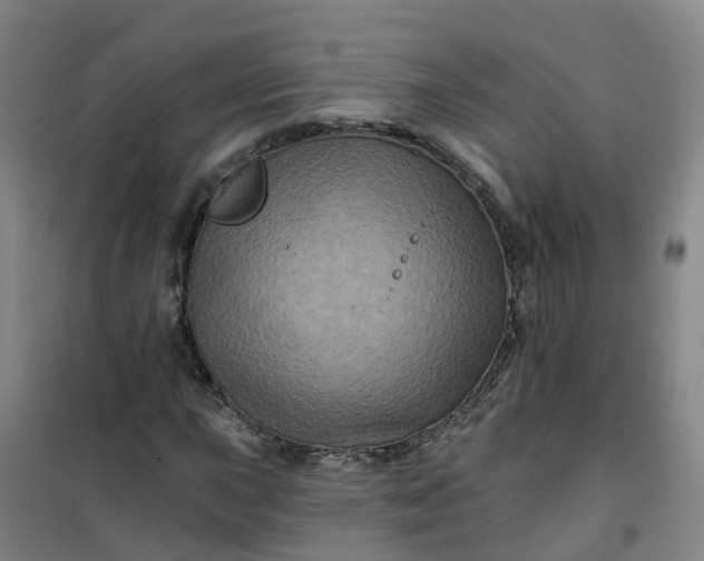 X0000101091015200807101543