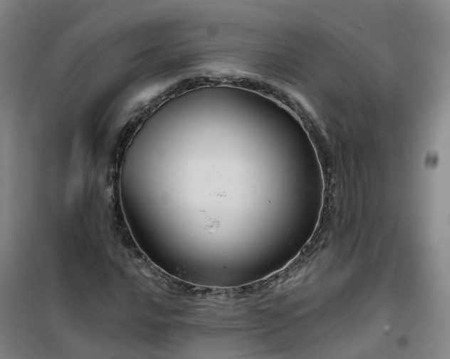 X0000101091016200807101543