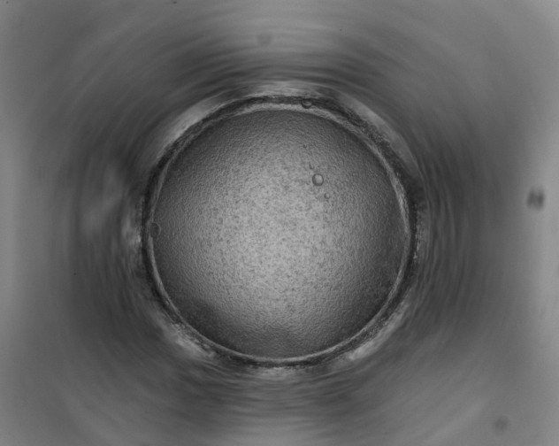 X0000101091017200807101543