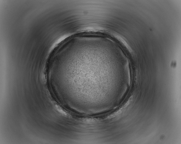 X0000101091018200807101543