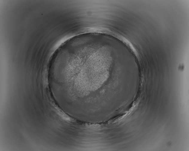 X0000101091019200807101543