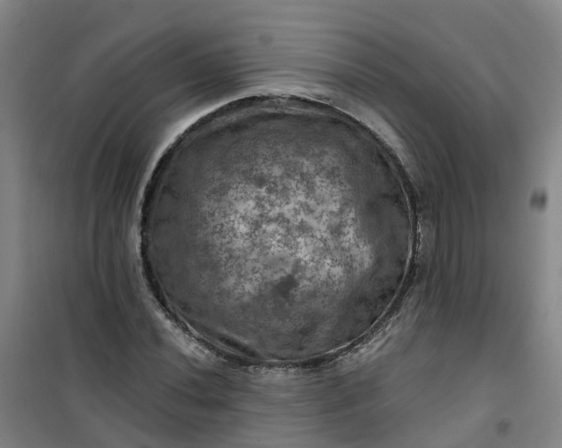 X0000101091020200807101543