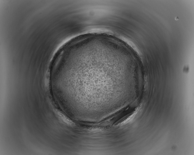 X0000101091021200807101543