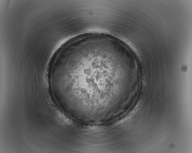 X0000101091022200807101543