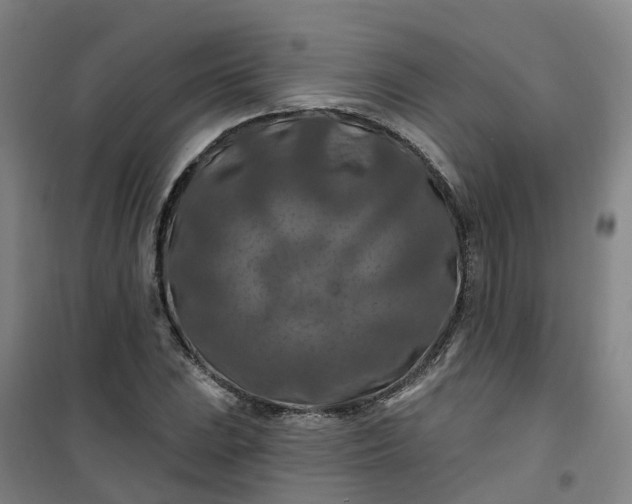 X0000101091023200807101543