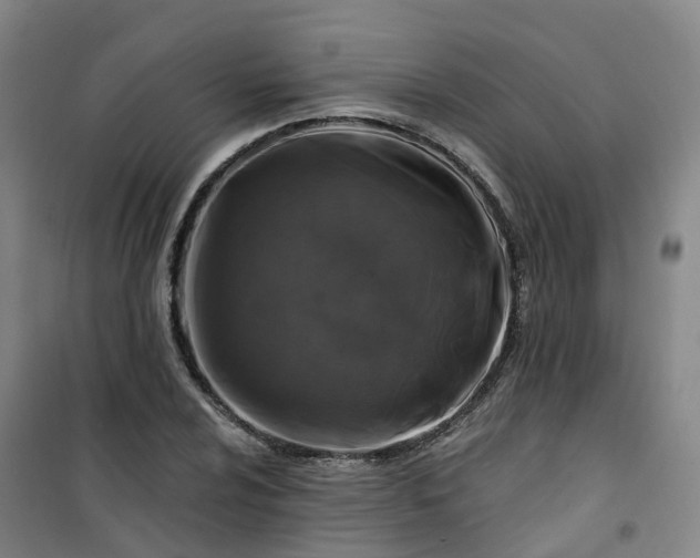 X0000101091024200807101543