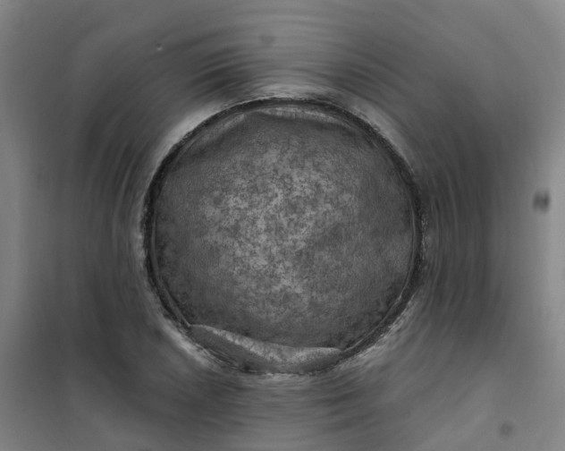 X0000101091026200807101544