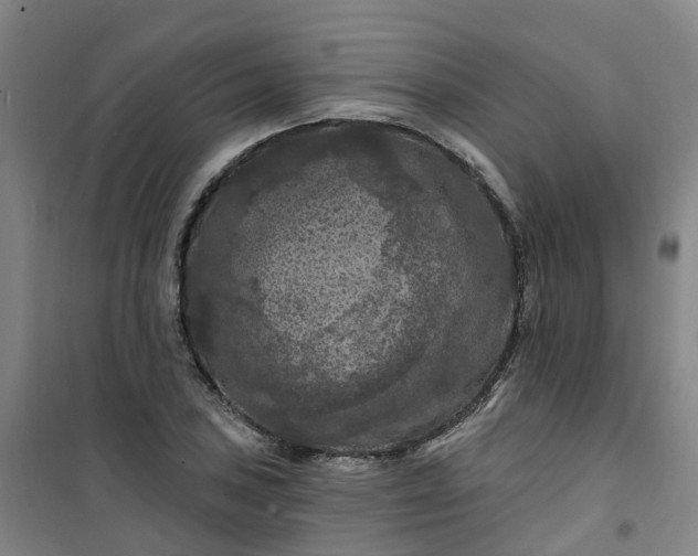 X0000101091027200807101544