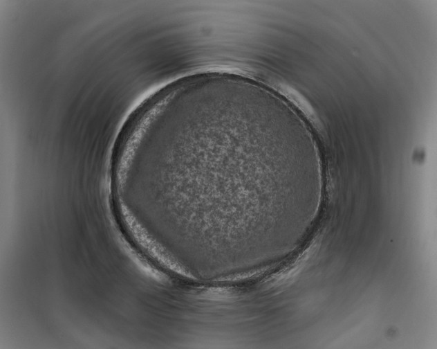 X0000101091028200807101544