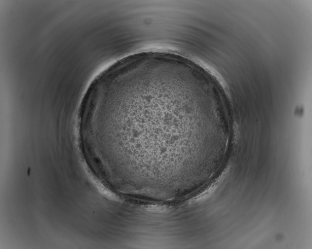 X0000101091029200807101544