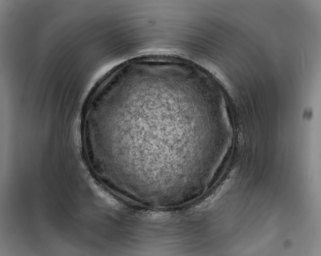 X0000101091030200807101544