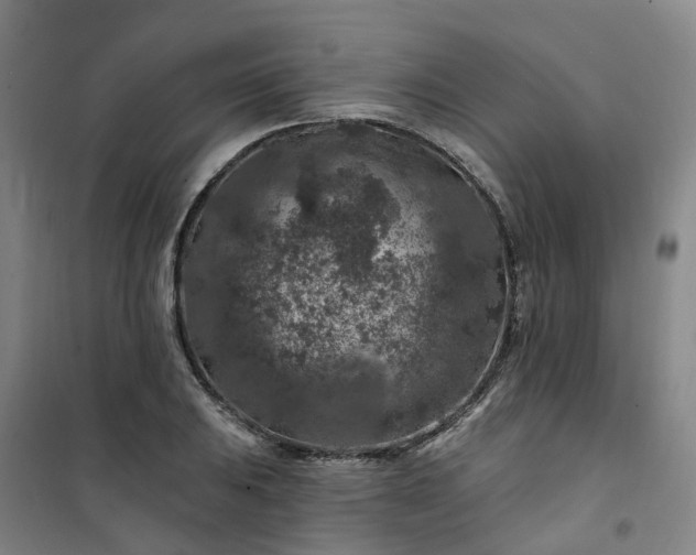 X0000101091031200807101544