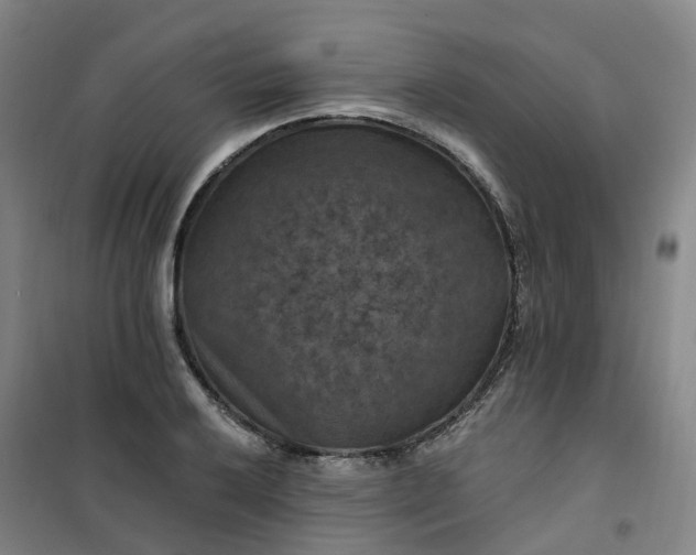 X0000101091032200807101544