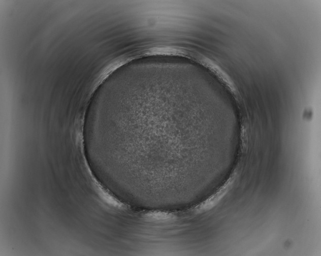 X0000101091033200807101544