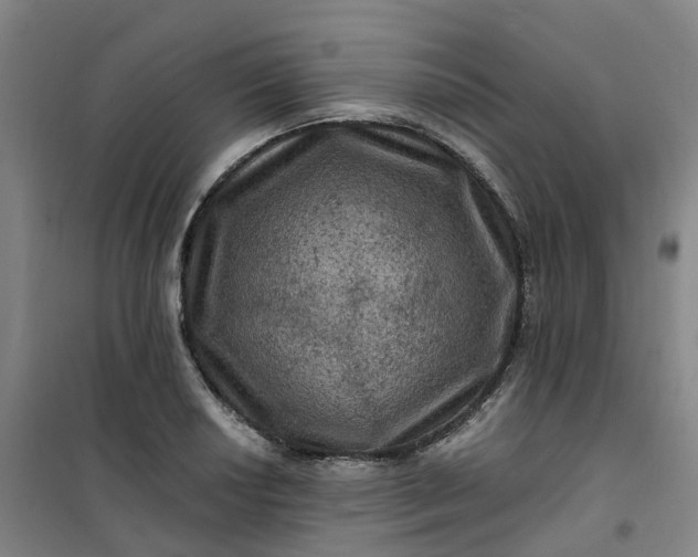 X0000101091034200807101544