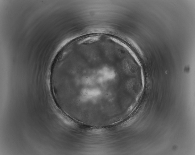 X0000101091035200807101544