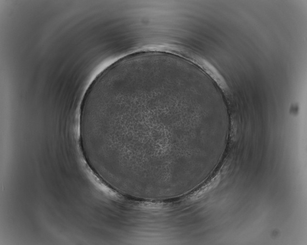 X0000101091036200807101544