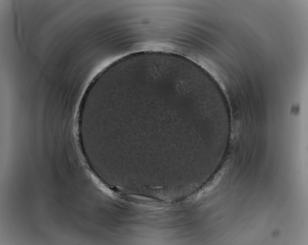 X0000101091037200807101544