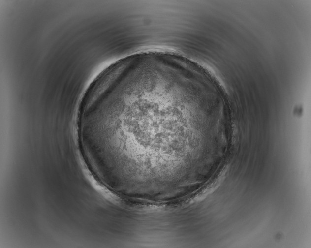 X0000101091038200807101544