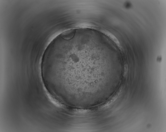 X0000101091039200807101544