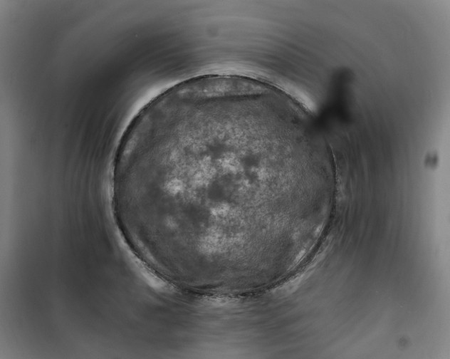 X0000101091040200807101544