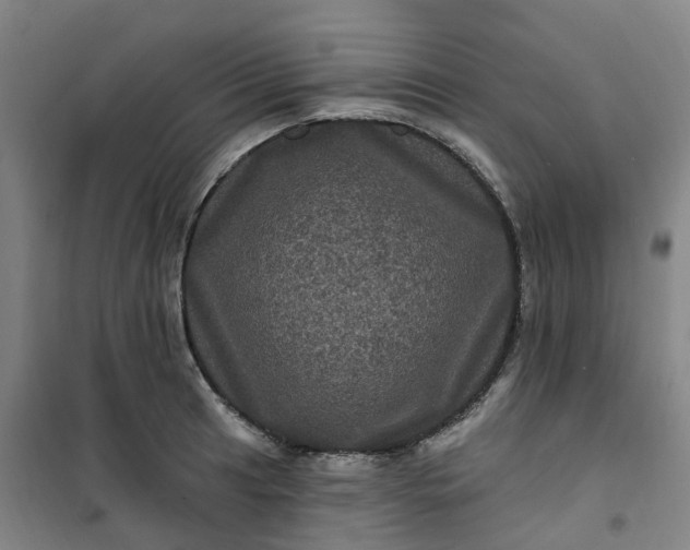 X0000101091041200807101544