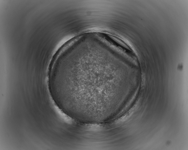 X0000101091042200807101544