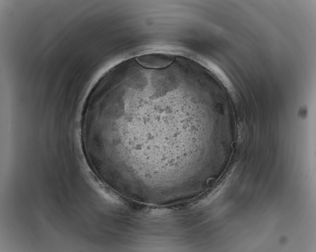 X0000101091043200807101544