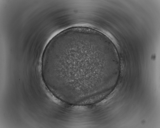 X0000101091044200807101544