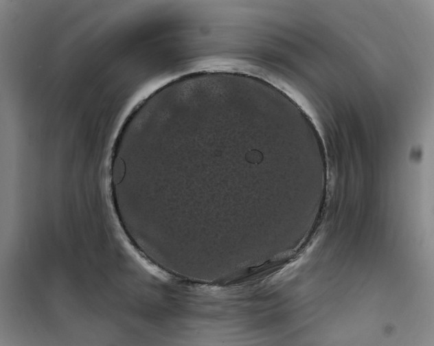 X0000101091045200807101544