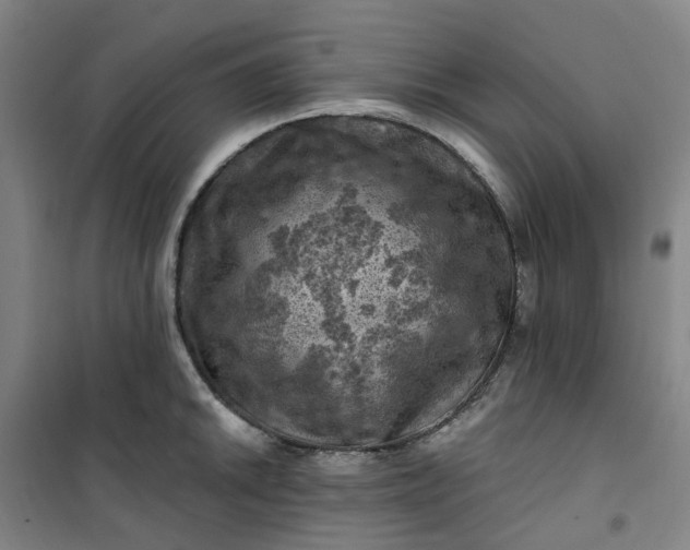 X0000101091046200807101544