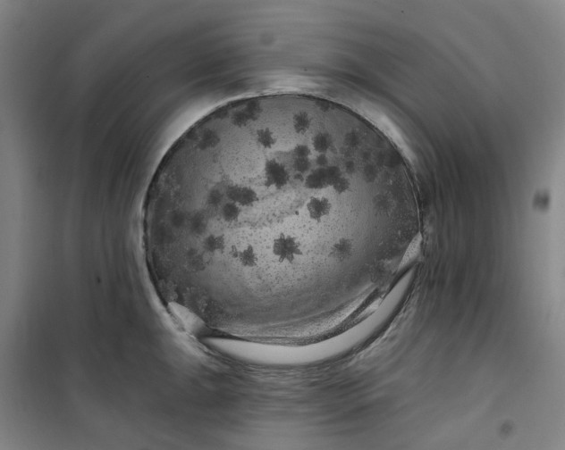 X0000101091047200807101544