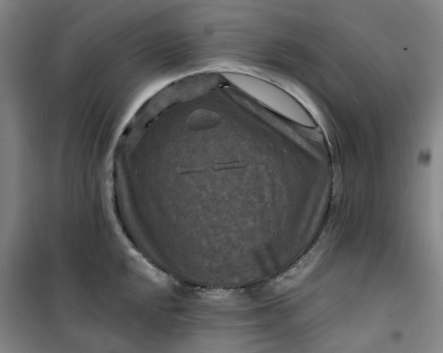 X0000101091048200807101544