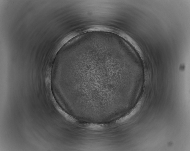 X0000101091049200807101544