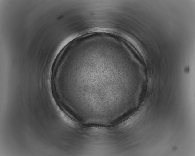 X0000101091050200807101544