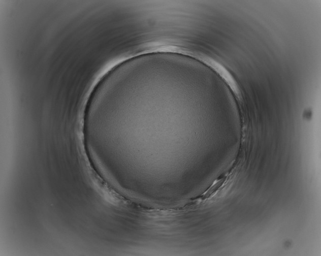 X0000101091051200807101544