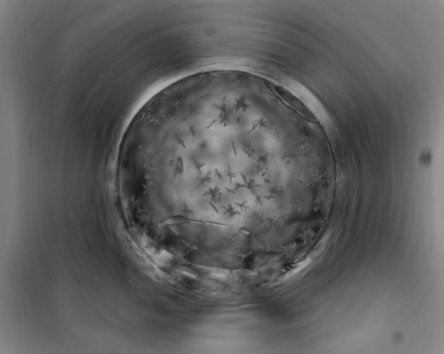 X0000101091052200807101544