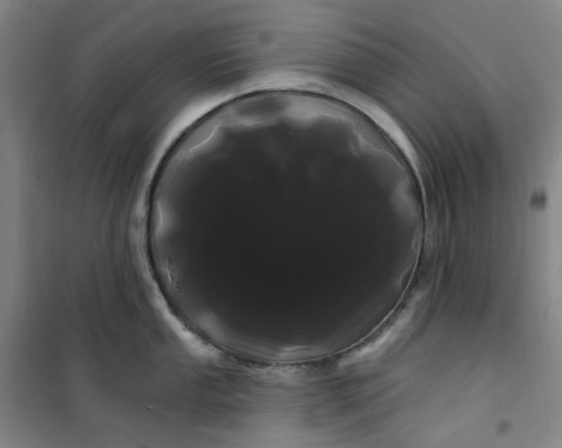 X0000101091053200807101544