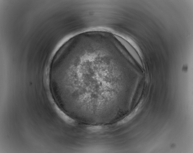 X0000101091054200807101544