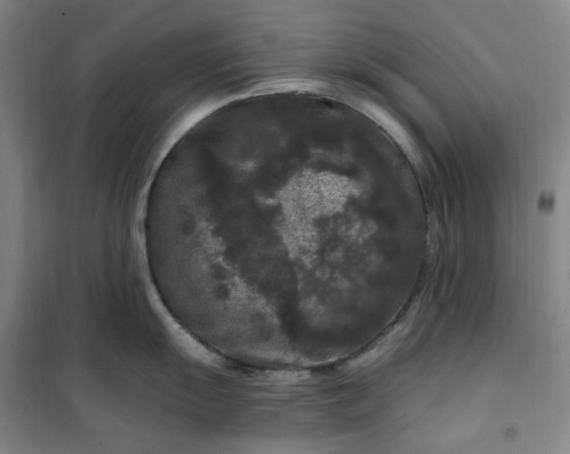 X0000101091055200807101544