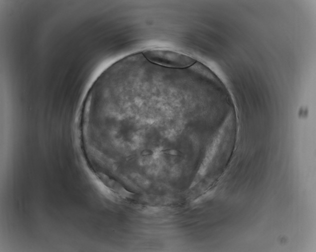 X0000101091056200807101544