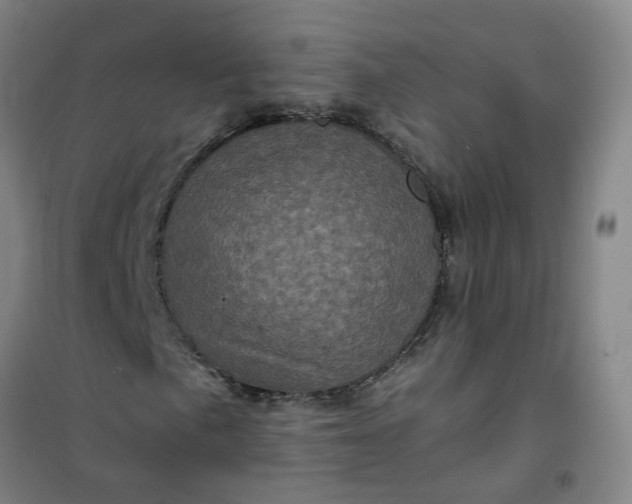 X0000101091057200807101543