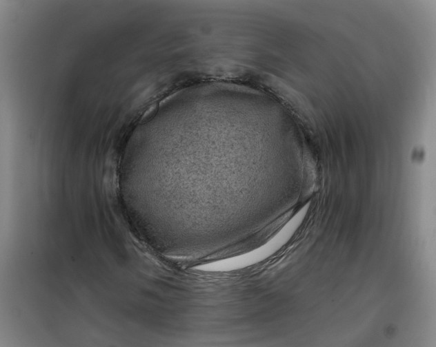 X0000101091058200807101543