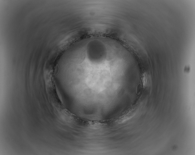 X0000101091059200807101543