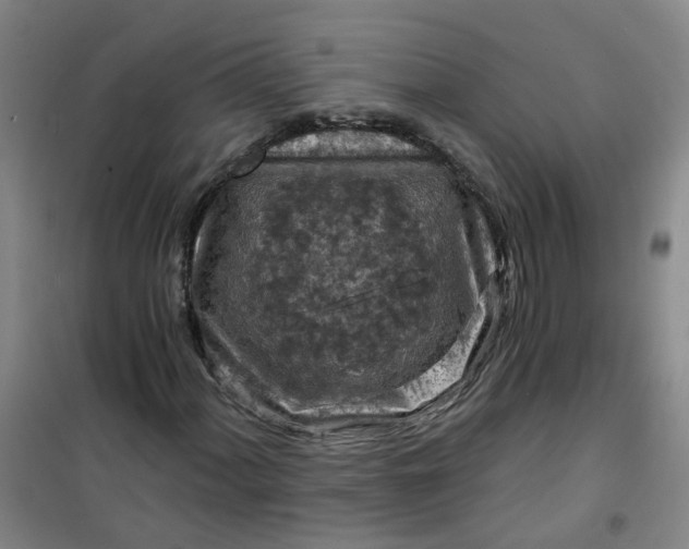 X0000101091060200807101543