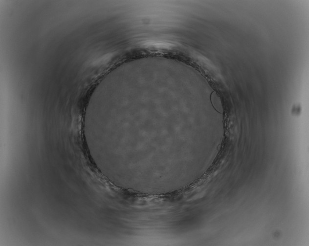 X0000101091061200807101543